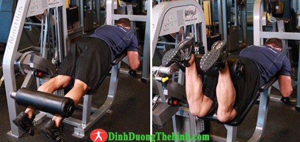 Bài 3 tập vơ đùi trước đùi sau và cơ bụng