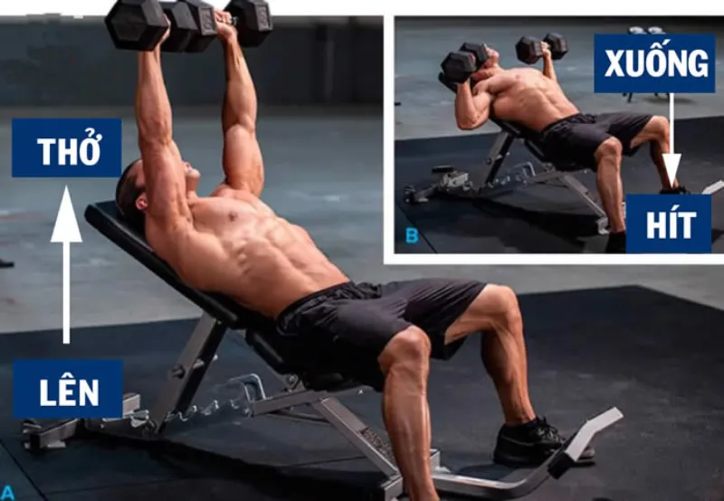 Cách thở đúng khi tập tạ