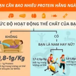 Cách tính protein khi tập gym