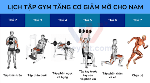 Lịch tập gym cho nam tăng cơ