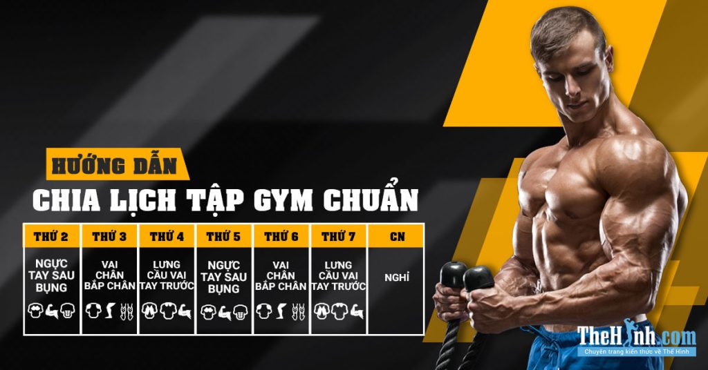 Lịch tập gym cho người làm văn phòng