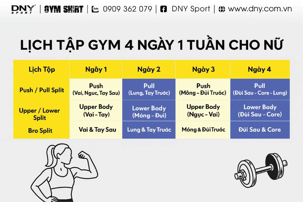 Lịch tập tăng cơ cho người mới