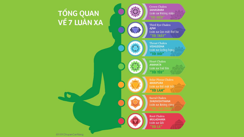 Luân xa (chakras) là gì? Cách để kích hoạt 7 Luân xa trên cơ thể