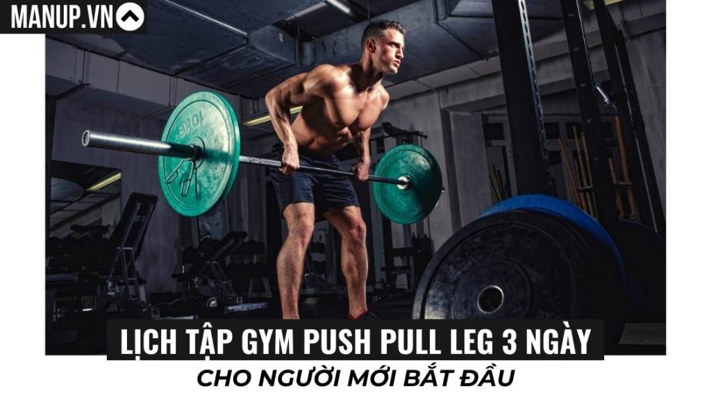 Nên chọn lịch full body hay push pull legs