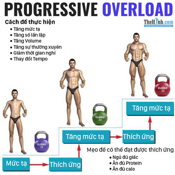 Nguyên tắc progressive overload