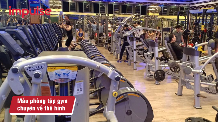 So sánh gym bình dân và gym cao cấp