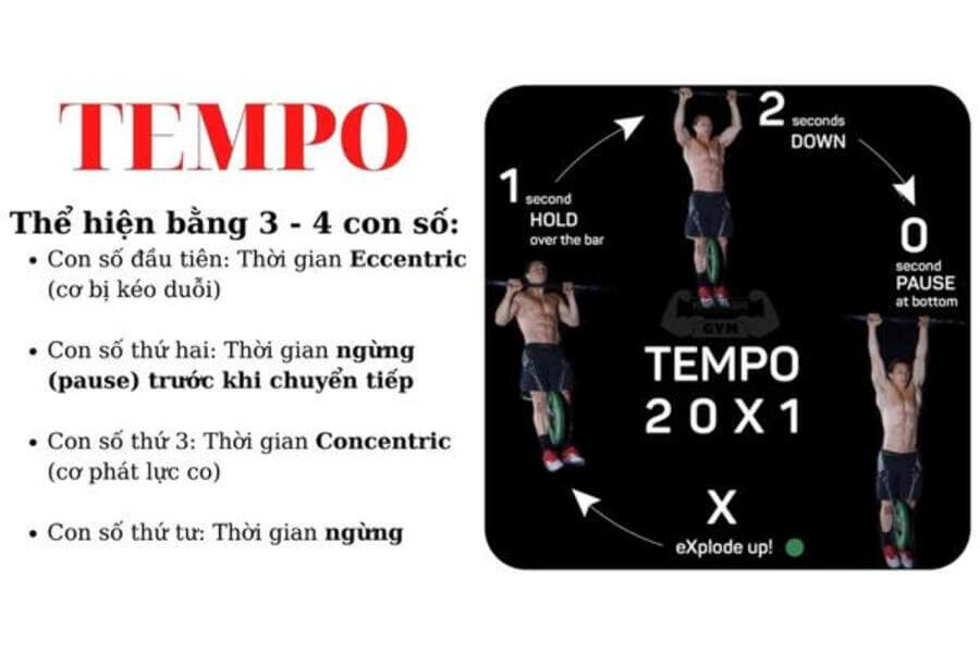Tempo là gì trong tập tạ